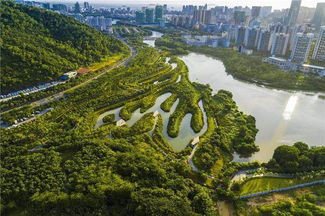 他们正在广州制可连续房，扛住了200年一逢的暴雨-2.jpg