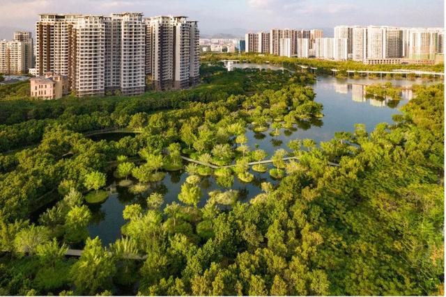 他们正在广州制可连续房，扛住了200年一逢的暴雨-9.jpg