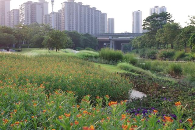 他们正在广州制可连续房，扛住了200年一逢的暴雨-18.jpg