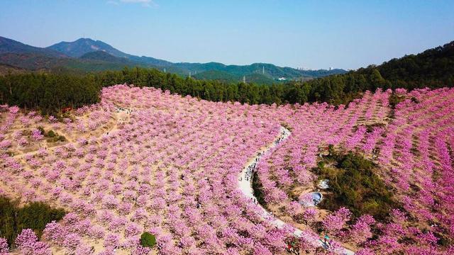 江门终究有甚么吸收力？好食、温泉、特产、交通、情况、道没有完了-14.jpg