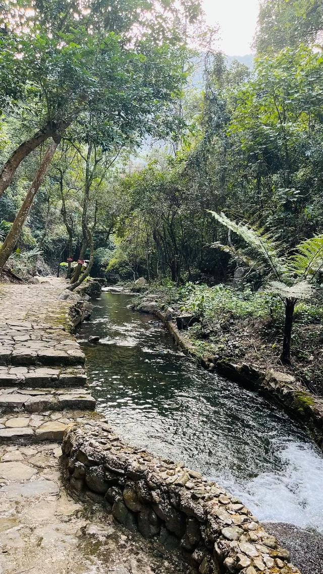 肇庆必游景面指北，带您走进诗意岭北-13.jpg