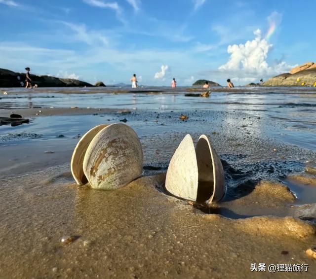 广东珠海市家狸岛，岛上有年夜贝壳剧院，叫日月贝，是珠海的新天标-6.jpg