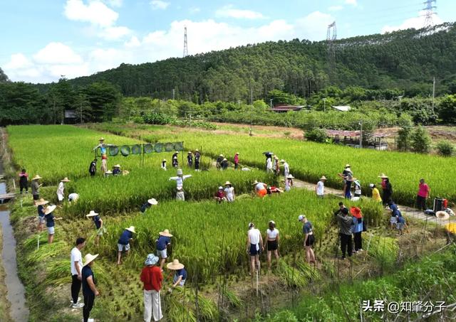 凶猛了！肇庆那些旅游面连本国人也去！-8.jpg