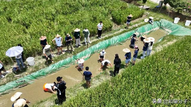 凶猛了！肇庆那些旅游面连本国人也去！-11.jpg