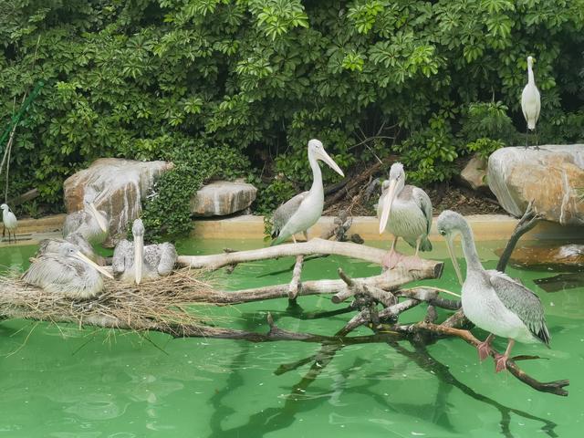 珠海逆德广州纪行（两）-19.jpg