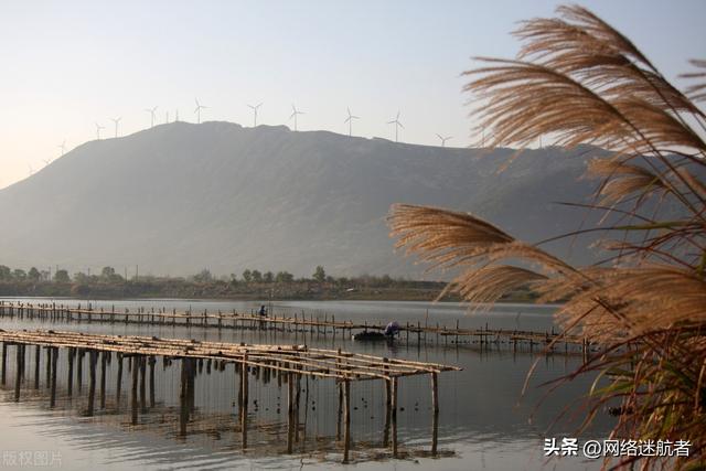 横琴岛东邻澳门，是广东省珠海市最年夜的岛屿，是澳门现有里积3倍-7.jpg