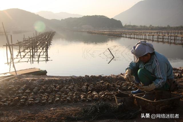 横琴岛东邻澳门，是广东省珠海市最年夜的岛屿，是澳门现有里积3倍-10.jpg