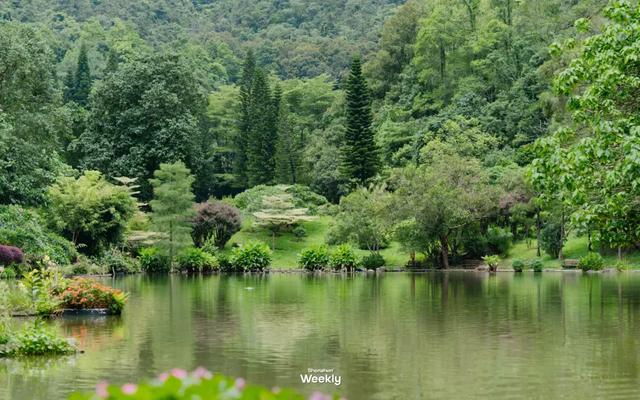 深圳，一座躲没有住的魅力之乡！-11.jpg