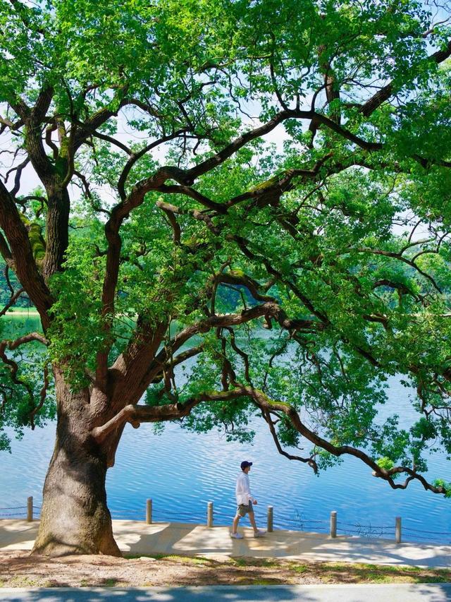 东莞那些很值得来的处所！景好出片，假期走起→-6.jpg