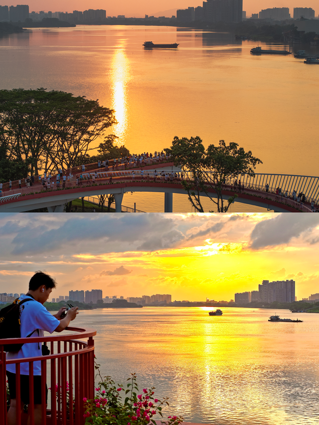 东莞那些很值得来的处所！景好出片，假期走起→-11.jpg