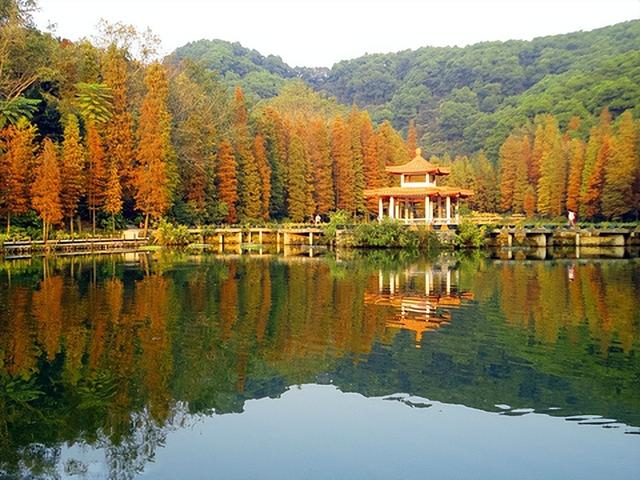 深圳3天2夜超适用旅游攻略 道路+交通+留宿+景面+特征好食-4.jpg