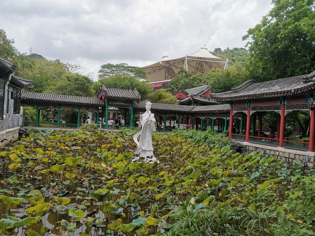 广东珠海一日游热点挨卡天：圆明新园-珠海渔女-珠海年夜剧院日月贝-44.jpg