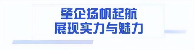 成交8.1亿元！肇企，凶猛了！-3.jpg