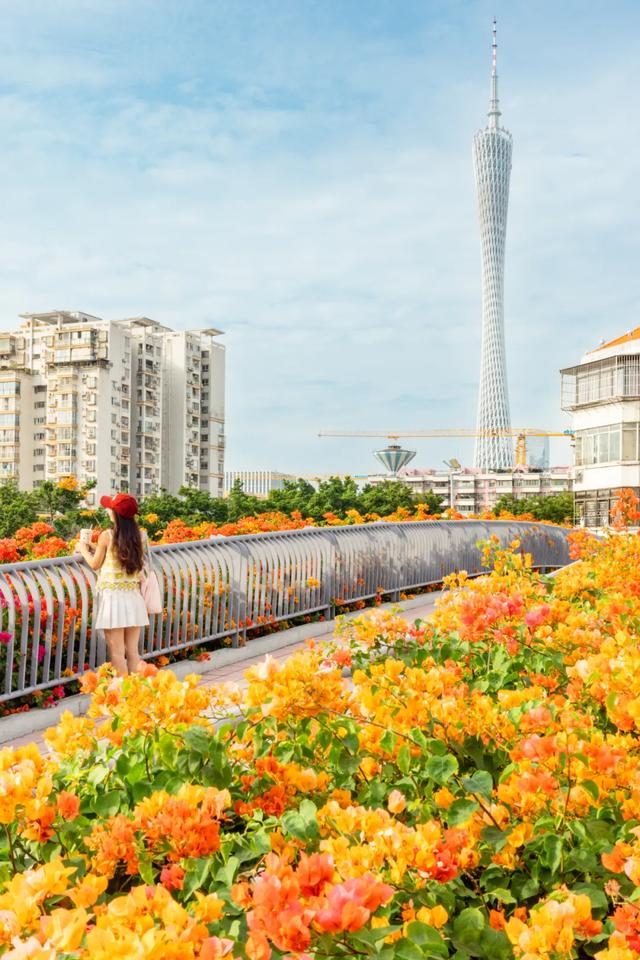 天板干问问，广东人慌了：回北天？！阿热正在路上，广州下周最低16℃-5.jpg