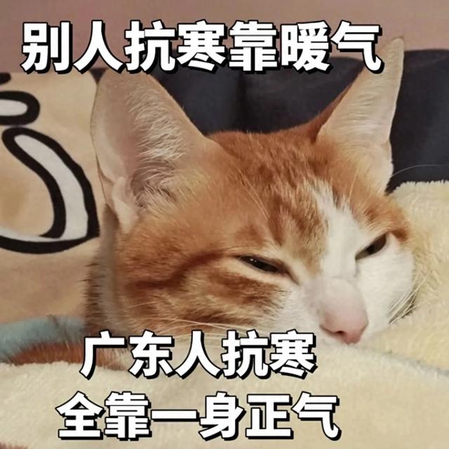 广东的冬季！！！-1.jpg