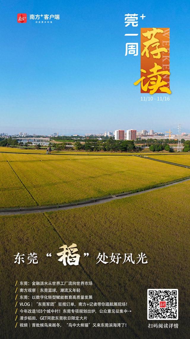 东莞“稻”处好风景｜莞+一周荐读-1.jpg