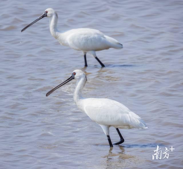 东莞“稻”处好风景｜莞+一周荐读-8.jpg