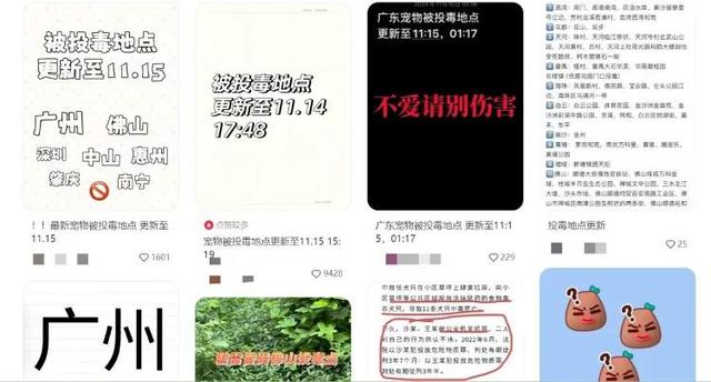 广东超40只辱物狗果疑似中毒身亡，协会传递-2.jpg