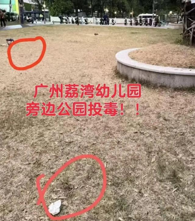 超40只灭亡！广州多区，陈述疑中毒病例-1.jpg