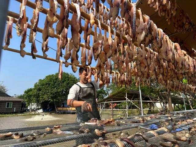 倒计时6天丨肇庆春冬限制好食上线！跑肇马借能年夜饱心祸→-10.jpg