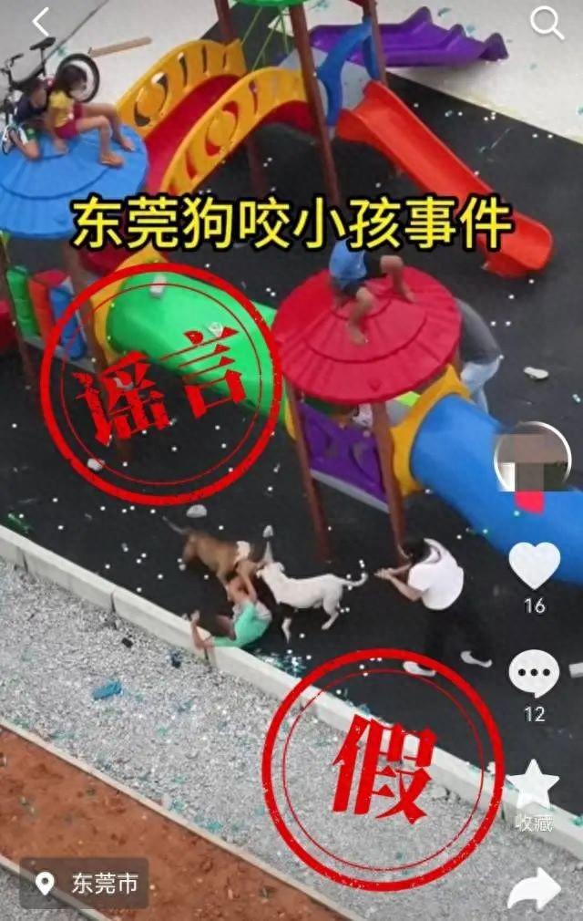 东莞有比特犬咬伤女童？本相是......-1.jpg