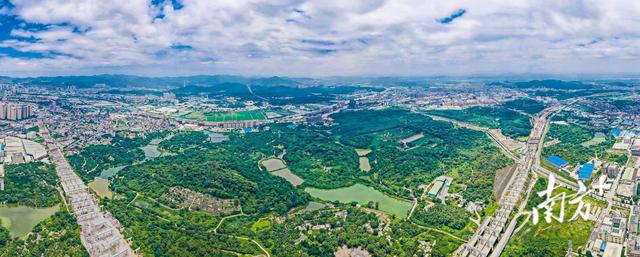 沙溪镇：挨卡“北山北火”，发明“宝躲”小镇｜“百万万”·中山止-4.jpg