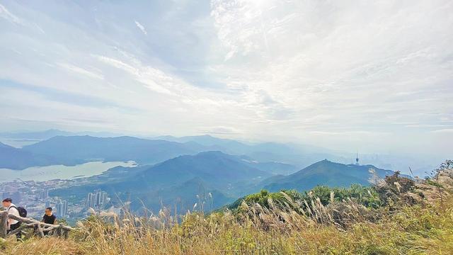 晶报出格报导 | 徒步深圳，捕获富贵都会的家趣-4.jpg