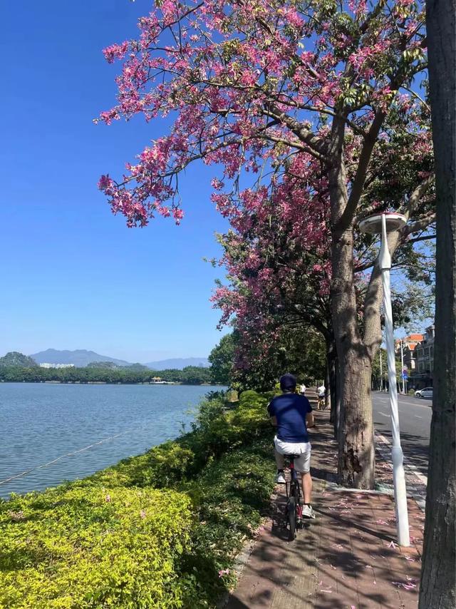 广州动身1小时，那条肇庆半日游道路，河陈、裹蒸粽、农家菜皆有笼盖!-19.jpg