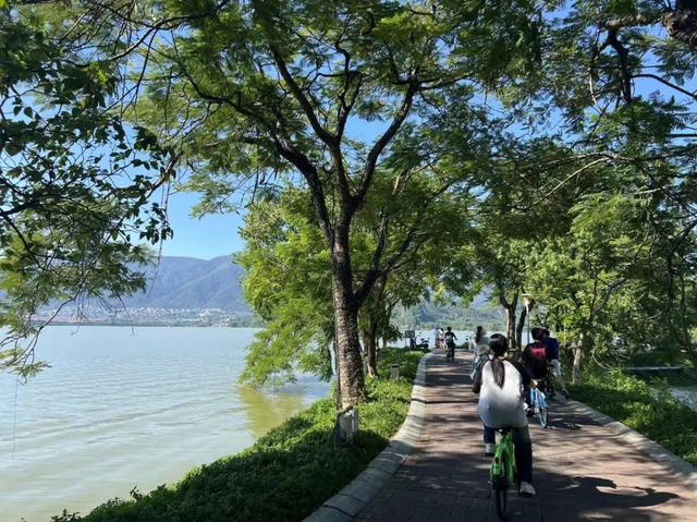 广州动身1小时，那条肇庆半日游道路，河陈、裹蒸粽、农家菜皆有笼盖!-17.jpg