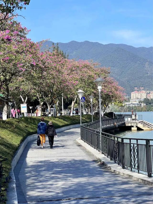 广州动身1小时，那条肇庆半日游道路，河陈、裹蒸粽、农家菜皆有笼盖!-20.jpg