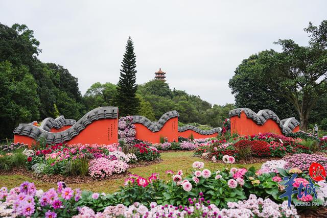 阿热跋山涉水携雨去，广东放晴寒天气鼓鼓要比及……｜温度记-10.jpg