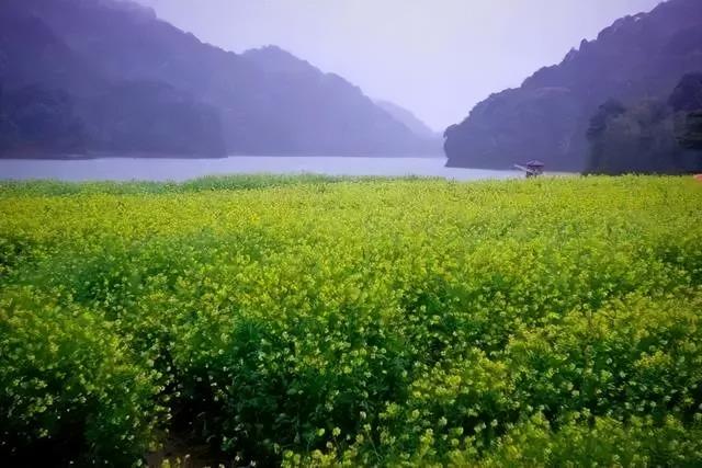 广州从化一线湖景平易近宿6房10床，回隐山川心之所往丨 湖里小院-35.jpg