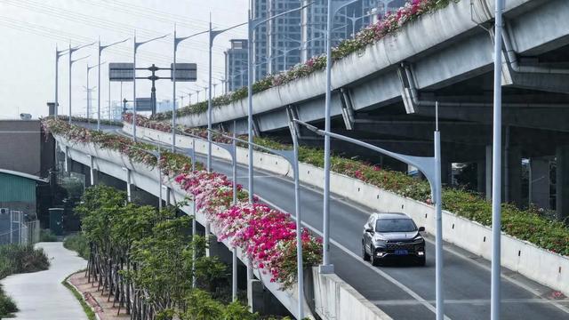 花开正素！中山那条“最好公路”，您走过吗？-1.jpg