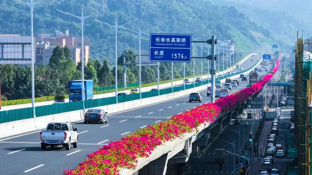 花开正素！中山那条“最好公路”，您走过吗？-2.jpg