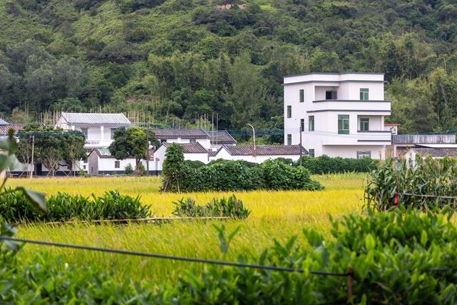 斗门“榜样村”：“五个一”形式重塑岭北火城风采 | 立功百万万，珠海出真效-2.jpg