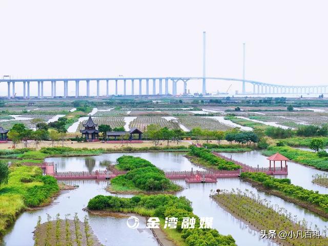 哇！珠海新建旅游船埠，另有两座国度级公园！-4.jpg