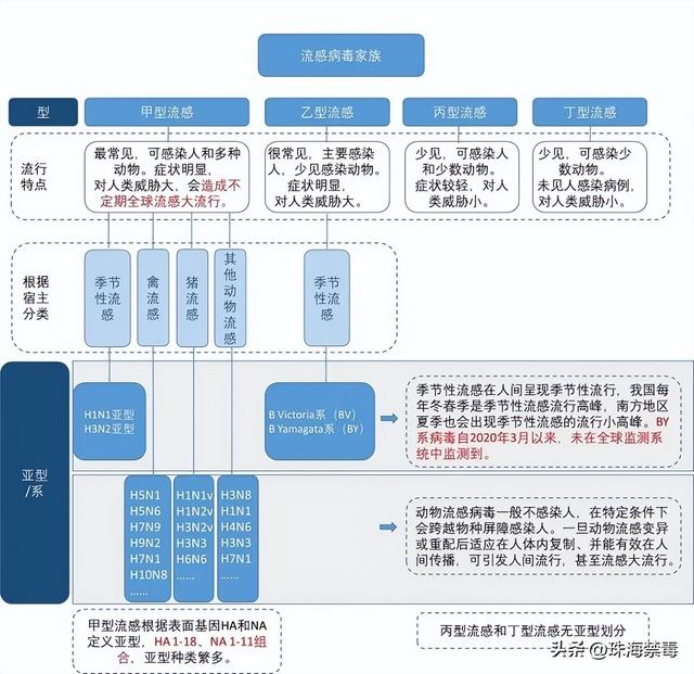 广东超7000人中招！远期多发，严峻可致逝世→-2.jpg