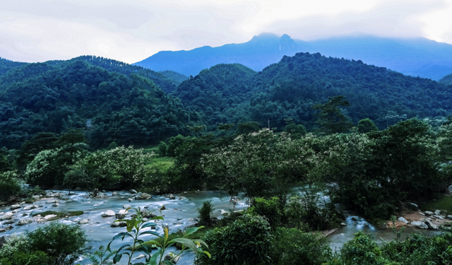 3000余人齐散一堂！昨早，肇庆那里好热烈→-6.jpg