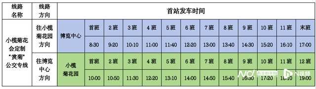 中猴子交团体开通“赏菊”专线，郊区中转小榄菊花会-2.jpg