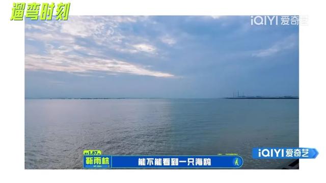 看海体验增长！重量级“冬季高朋”已到达东莞！-13.jpg