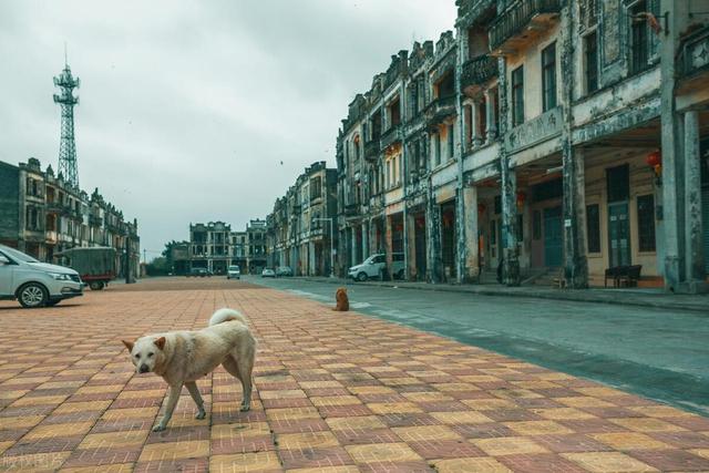 广东江门的旅游攻略必来景面-42.jpg