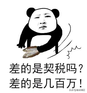 契税法去了，4年夜重面划出：肇庆购房有何变革？那些状况可免征-11.jpg