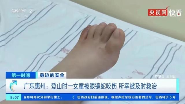 广东一景区惊现巨蟒，有成人小腿那末细……-9.jpg