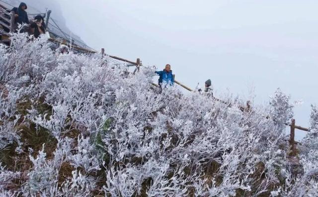 挂冰了！广东一天呈现冰挂雾凇！那些地区将有5℃及以下高温……-5.jpg