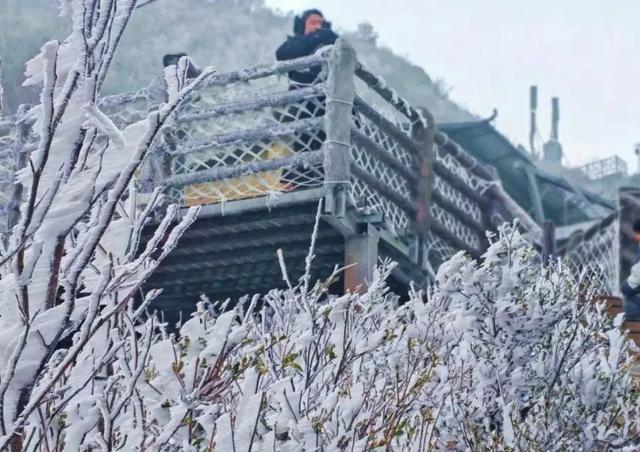 挂冰了！广东一天呈现冰挂雾凇！那些地区将有5℃及以下高温……-4.jpg