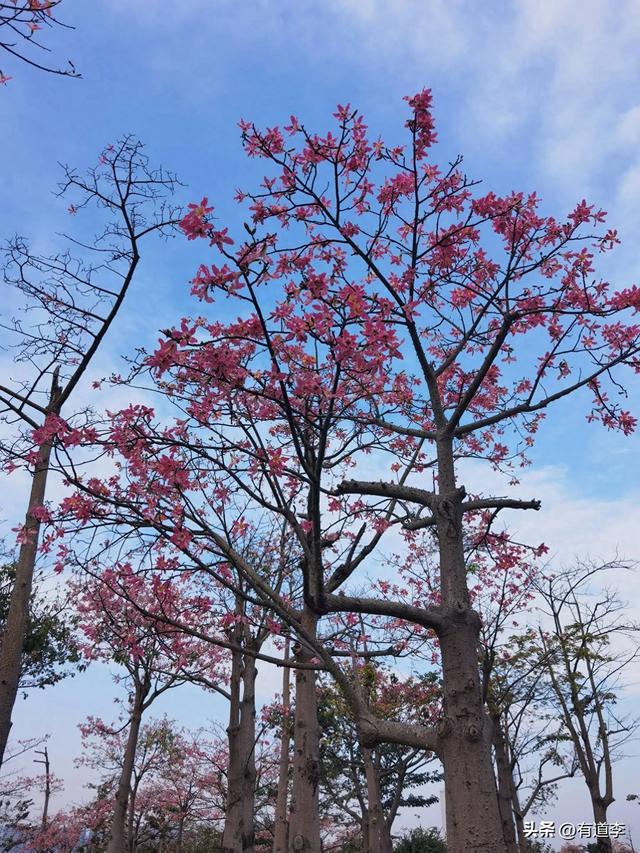 挨卡珠海横琴岛-1.jpg