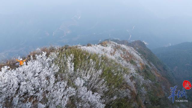 阿热长久“摸鱼”！广东气鼓鼓温将重回20℃，但迟早仍是热丨温度记-9.jpg