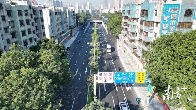 中山市泛爱2、三路主路齐线开放通车-3.jpg