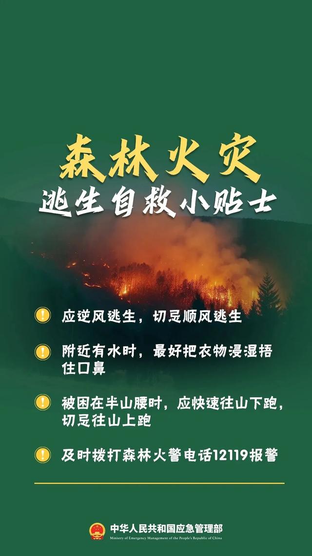 留意防备！广州齐市公布白色预警-15.jpg