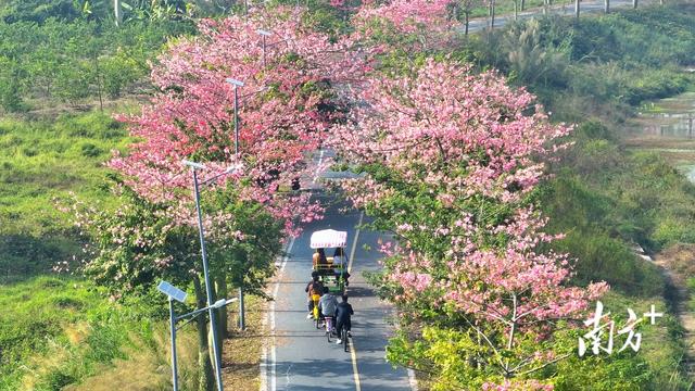 台山四九：抢抓黄茅海跨海通讲机缘，让“流量”变“留量”-3.jpg